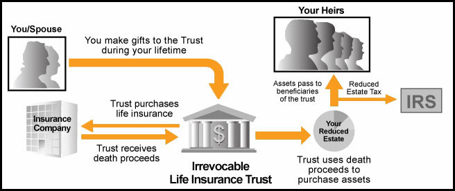 understanding-life-insurance-trusts-dr-disability-quotes